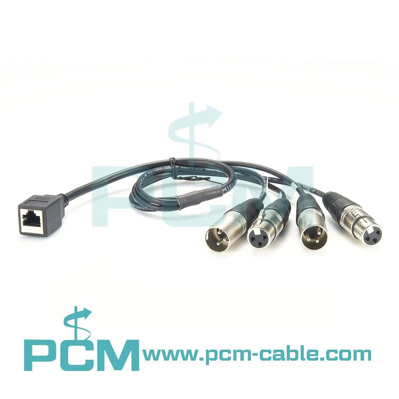 we are the manufacturer of Ethernet to XLR breakout cable