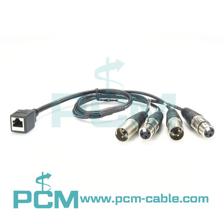 4-Csatorna Audio Snake RJ45 nő - XLR 2 férfi - 2 nő.